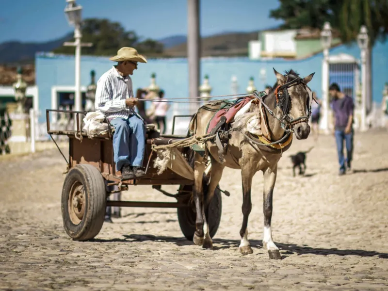 The Original Delivery App Ran on Hooves: America's 6 A.M. Milk Route, Reconsidered